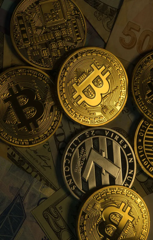 Helder Bitnova - Cómo Helder Bitnova puede transformar tu camino en el trading